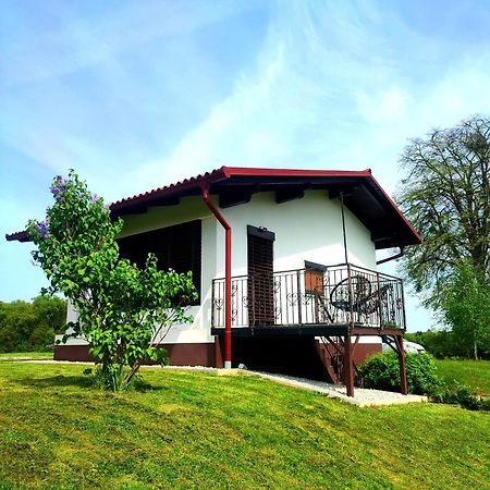 Apartma Kapelski Fant Sveti Jurij ob Scavnici Екстериор снимка
